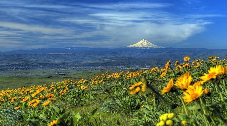 Jump Start Your Life ASAP: Climb Mt. Apo